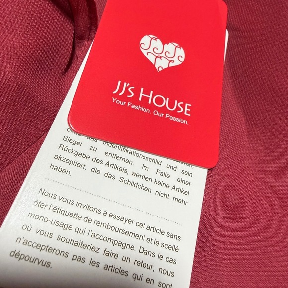 JJ's House High-Low Dress Women 12 Cinnamon Rose Chiffon Formal Guest NWT - Picture 5 of 10